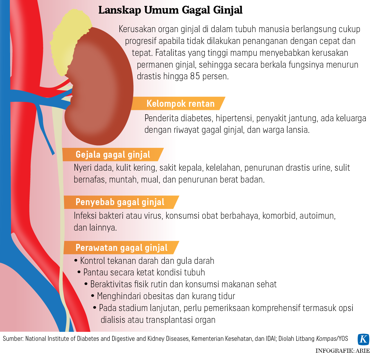 harapan-baru-penderita-gagal-ginjal-djoko-santoso-2.png
